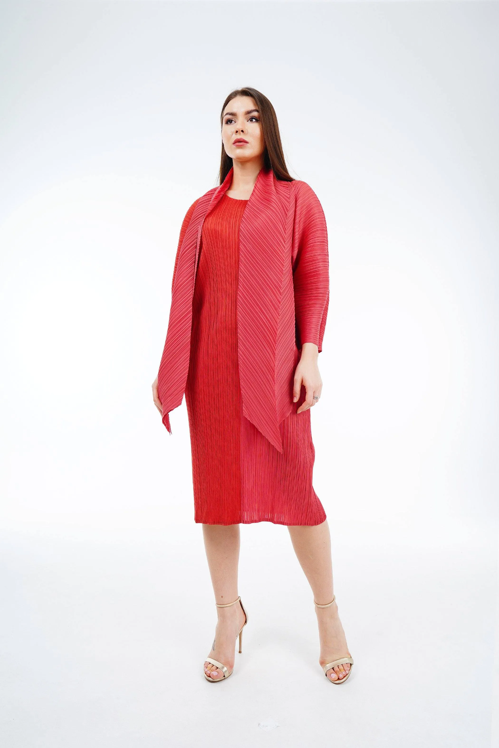 Twin Color Pleated Dress With Belt