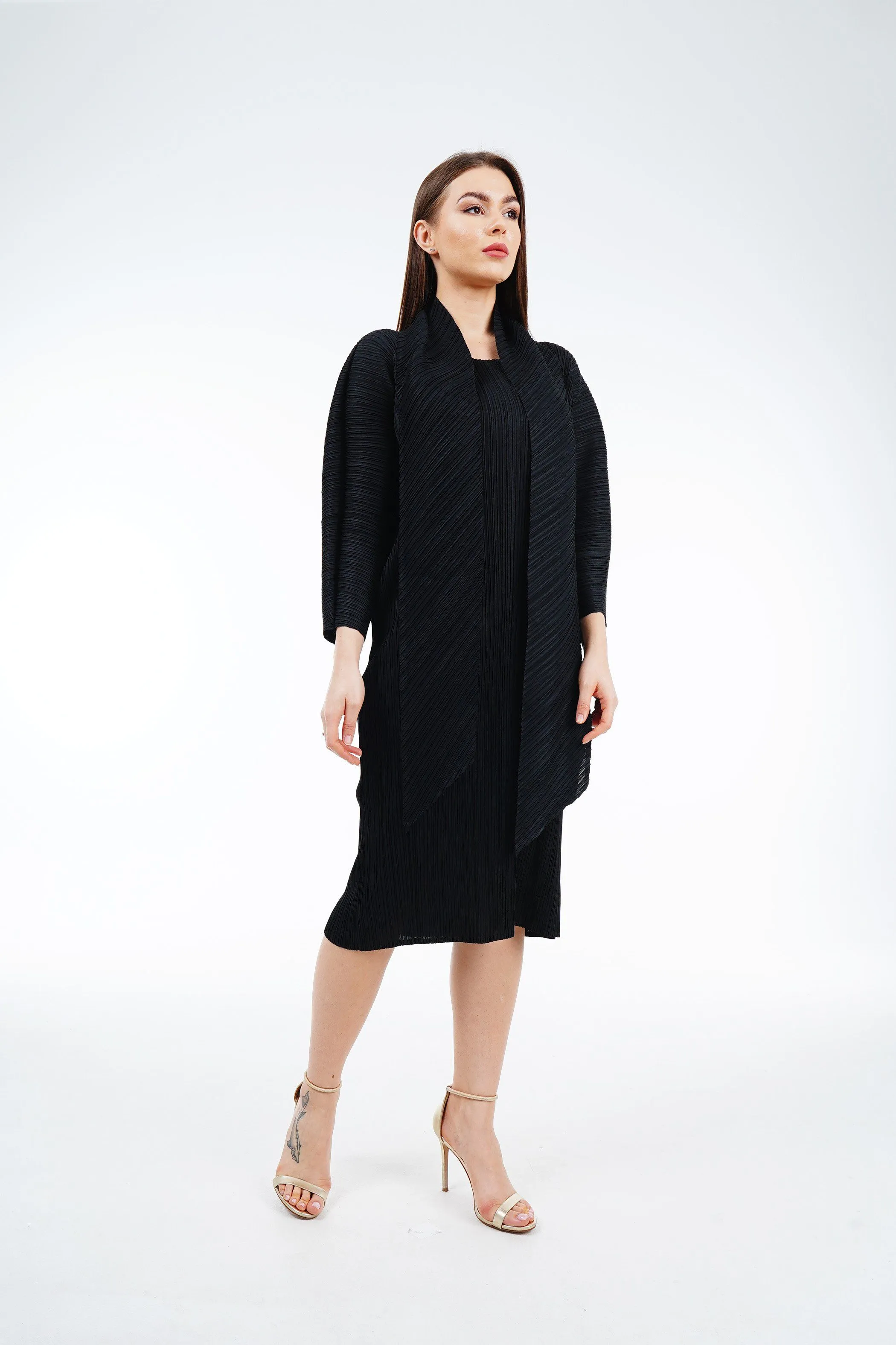 Twin Color Pleated Dress With Belt